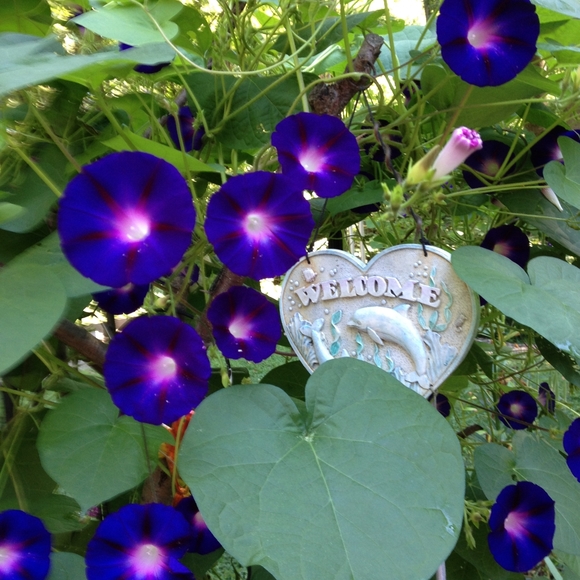 Meet your Posher, Teresa - Picture 11 of 16